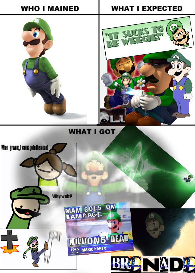 i_mained_green_mario__i_got_luigi_by_flaminghammers1997-d8f9tsv.png