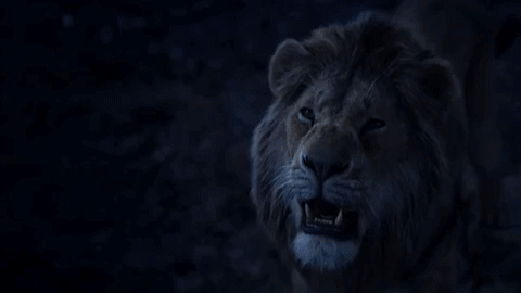 the_lion_king_2019___trailer__2__gif_cod