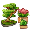 mini_garden___bonsai__cactus_and_roses_b