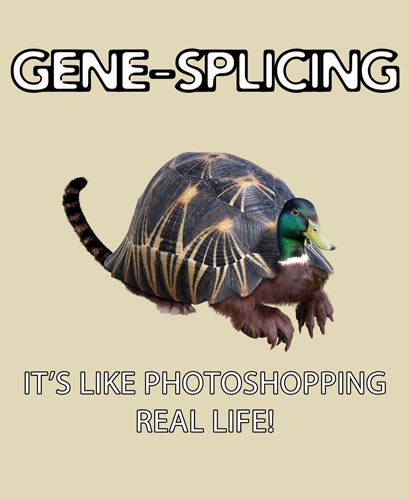 What is gene splicing?