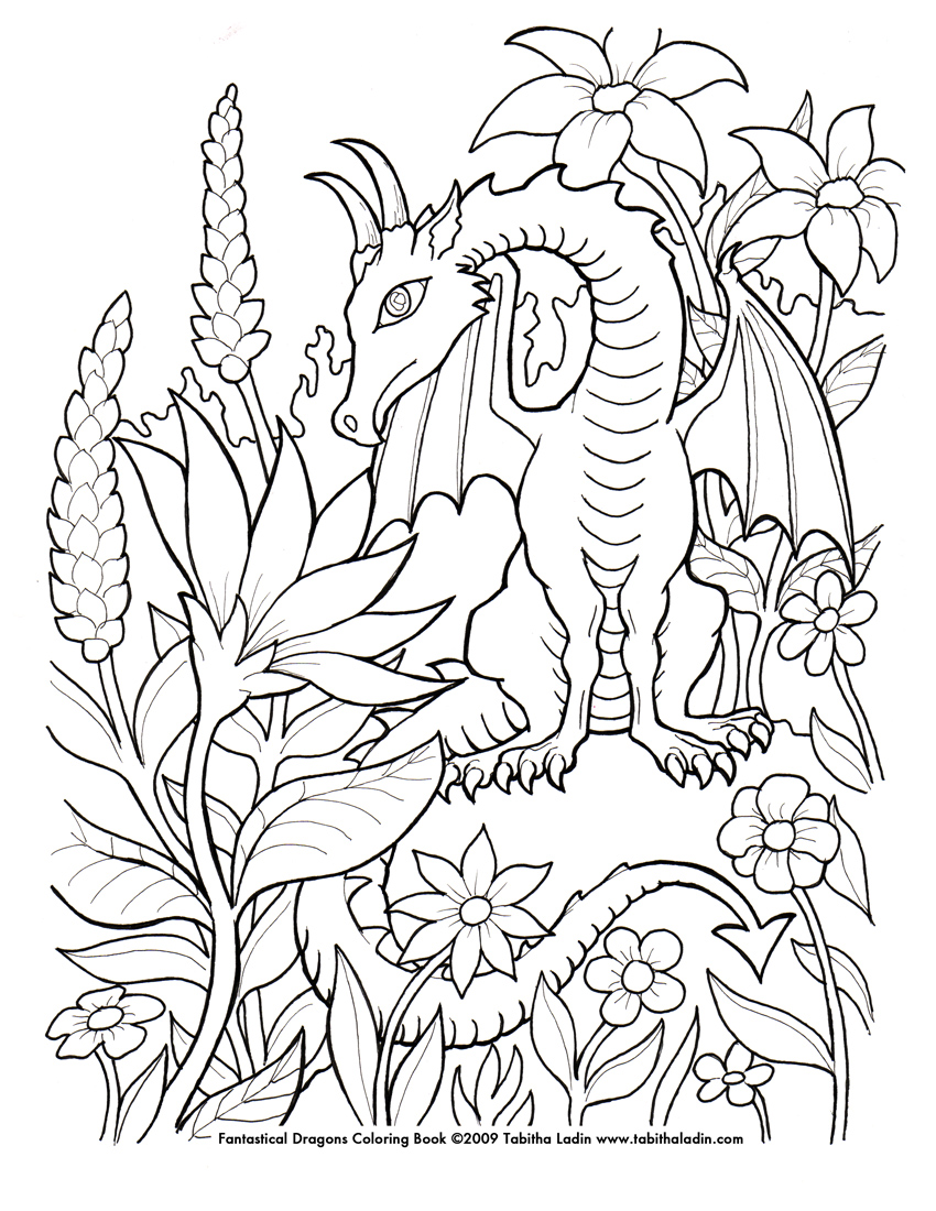 fairies and dragons coloring pages - photo #19