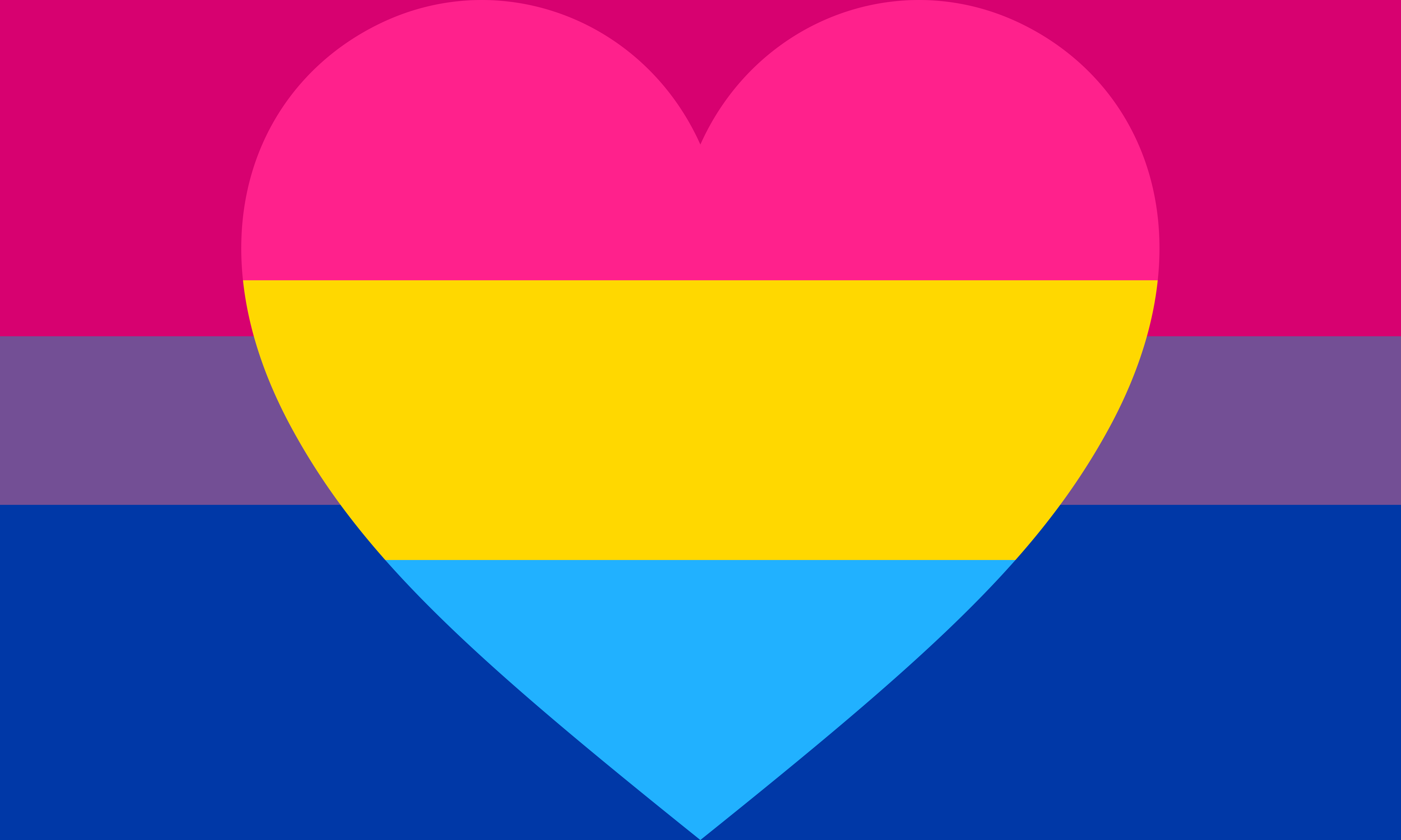 Bisexual Flags 95