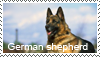 german_shepherd_stamp_1_by_tollerka.png