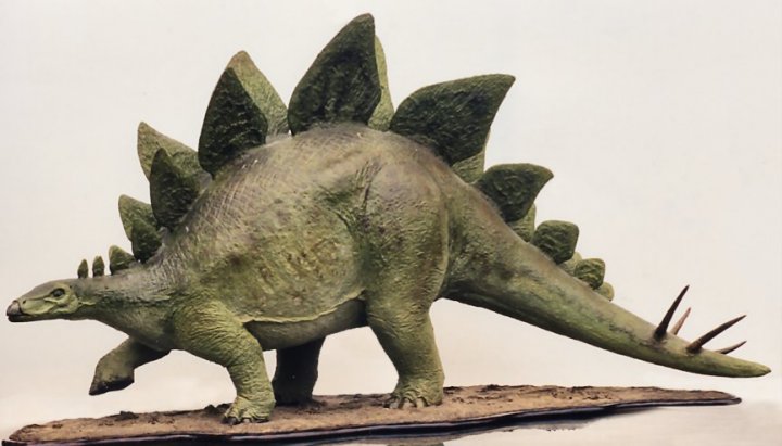 papier_mache_stegosaurus_1995_by_lonesom