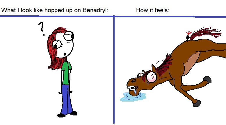 can you give a horse benadryl
