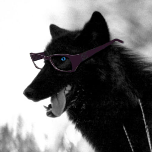 purple_glasses_black_wolf_icon_by_scubac