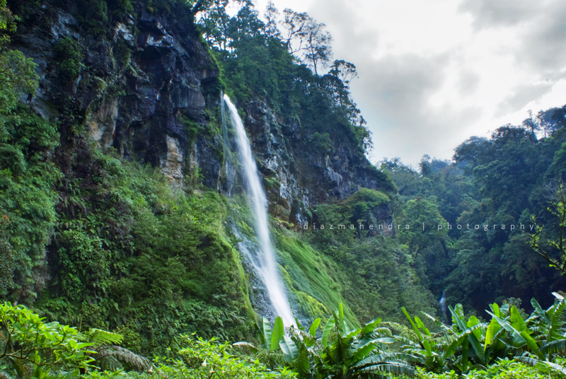 Image result for Gunung Gede Pangrango National Park