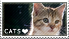 cats_stamp_by_eyesofthewind-d33lr3p.png