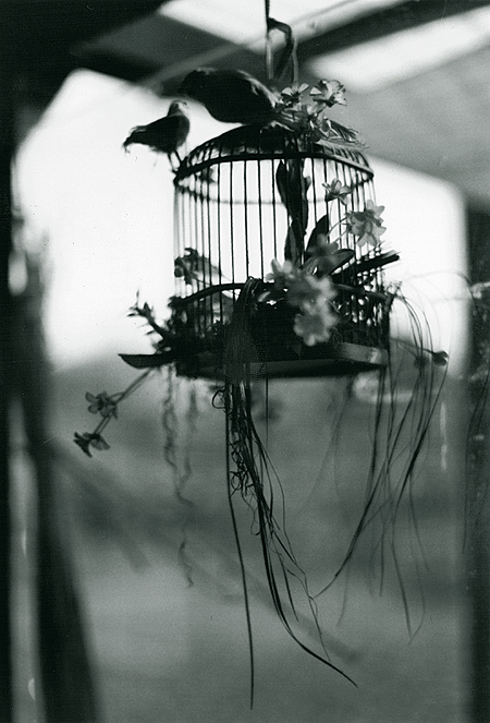 The cage. by gloeckchen