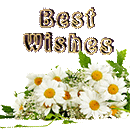 Best-Wishes by KmyGraphic