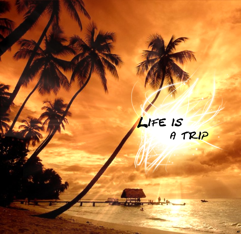 life is trip