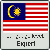 Malay language level EXPERT by TheFlagandAnthemGuy