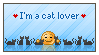I'm a cat lover by pjuk