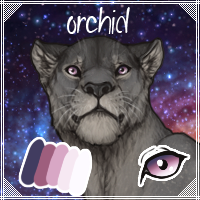 orchid_by_usbeon-dc5ena8.png
