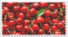 الغرفة الثانية Red_cherries_fruit_stamp_by_glaciervapour-dbd1hw7
