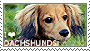 I love Dachshunds by WishmasterAlchemist