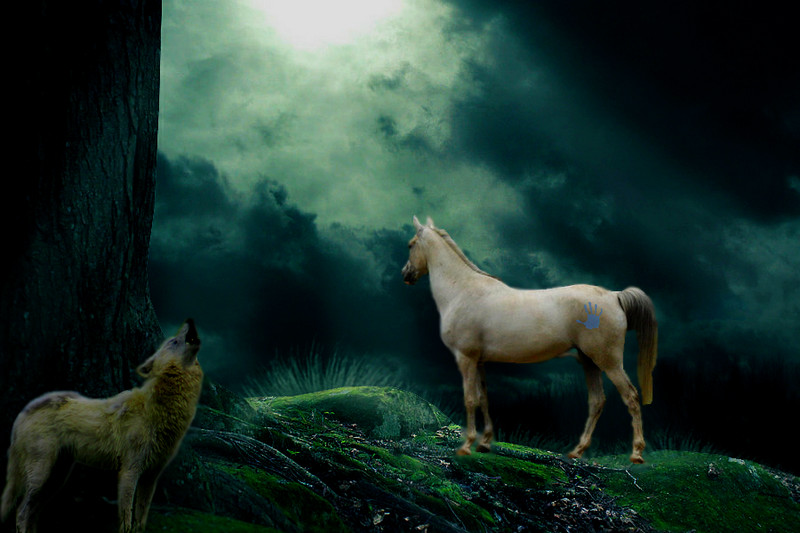 horse with wolf by snuf12 on DeviantArt