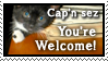 You're Welcome by CapnDeek373