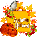 Autumn Harvest by KmyGraphic