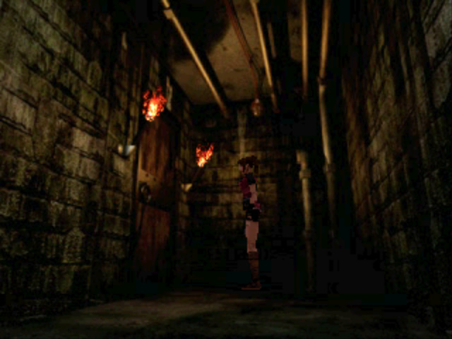 Chief Irons' Secret Passage and Taxidermy Room Irons__secret_passage__6__by_residentevilcbremake-dcqo6d4