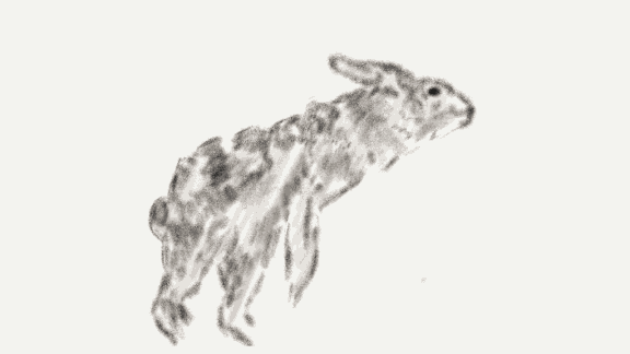 Rabbit Study by purstotahti