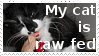 Rawfedcat by Colliequest