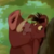 The Lion King - Sneaky Pumbaa Icon