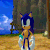 Sonic Shrug Icon