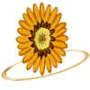 sunflower_spin_gif_by_idlewildly-dcmire7.gif