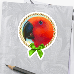 Eclectus Parrot Realistic Painting Sticker