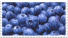 الغرفة الثانية Fresh_blueberries_stamp_by_glaciervapour-dbcyhk0