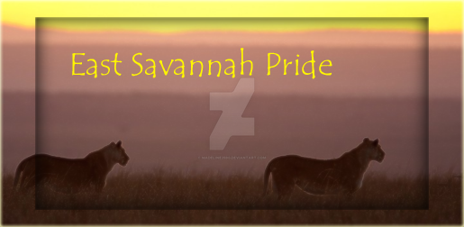east_savannah_pride_banner_by_madeline2590-dc4t8bo.png