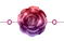 Rose Divider - Night Rose 1 - Sparkles