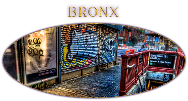 Bronx by LiziiLex
