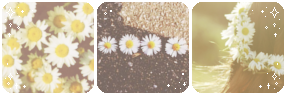 pushing_daisies___deco_divider_by_thecan