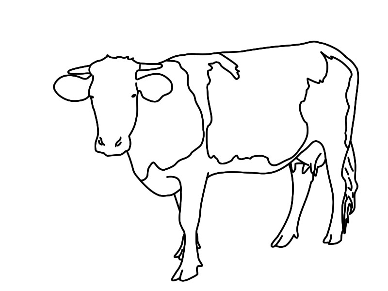 Cow lineart by TheBlackDuck on DeviantArt
