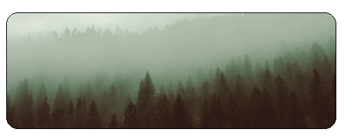 f2u_foggy_forest_by_salt_prince_vince-db