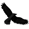 crow_icon__2___free_to_use__by_1sleep_and_smoke1-db3he8d.png