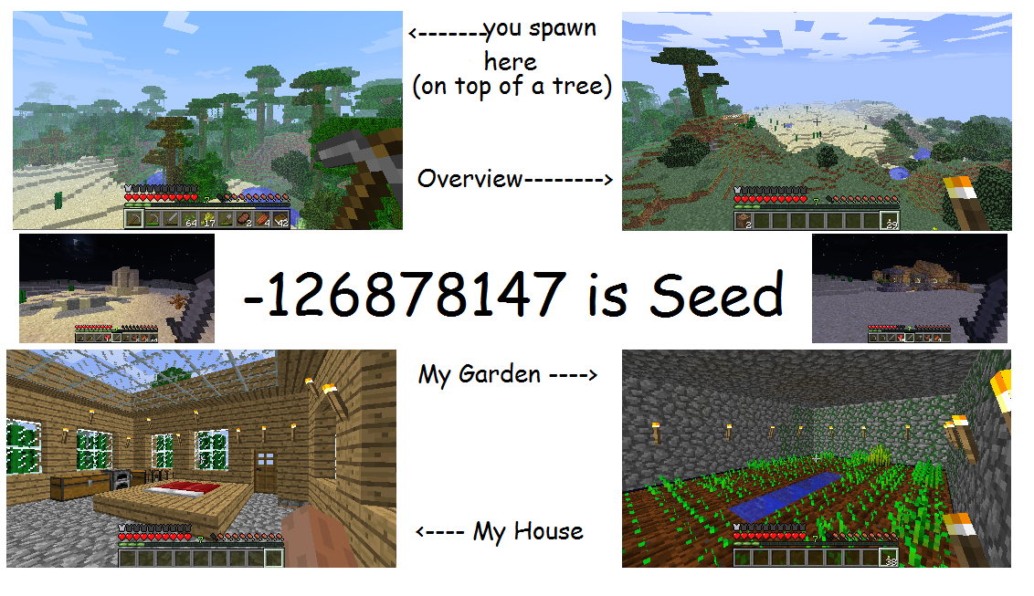 Seed numbers for minecraft pe > MISHKANET.COM