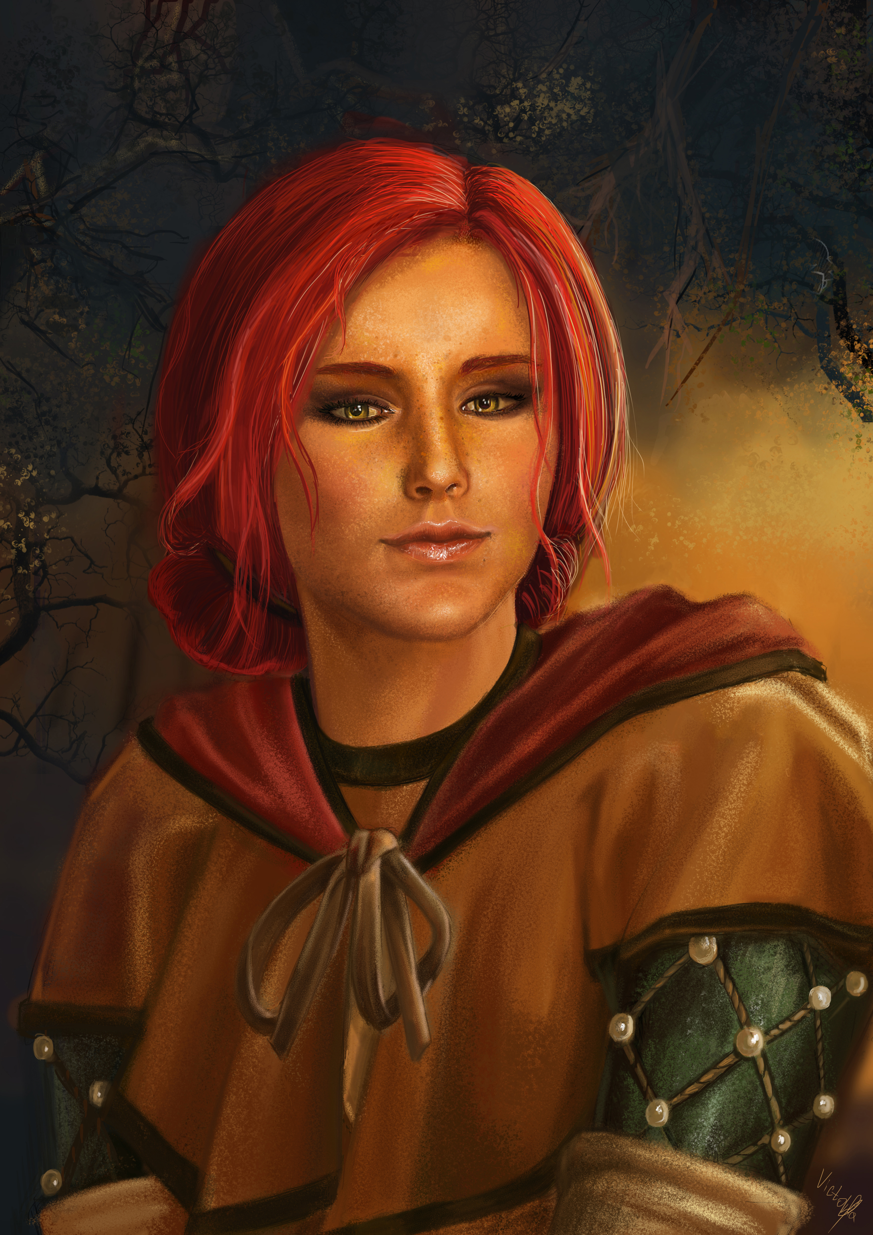 The Witcher Triss