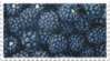الغرفة الثانية Blackberries_fruit_stamp_by_glaciervapour-dbd13yy