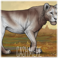 cashmere_by_usbeon-dbumx5k.png
