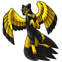 3 - Flyenx Adult Black and gold by horselife1236