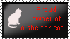 Proud owner of a shelter cat by xpekalx