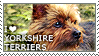 I love Yorkshire Terriers by WishmasterAlchemist