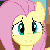 Squee Fluttershy