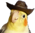 Yeecaw Bird Cockatiel Cowboy