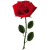 Rose icon.4