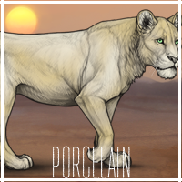 porcelain_by_usbeon-dbumx7x.png