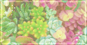 succulents. -f2u by kittoko
